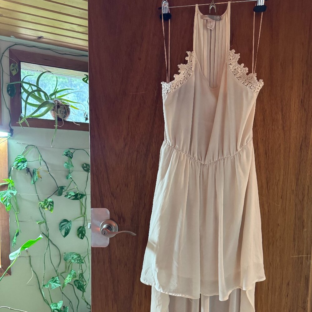 Forever 21 dress (size M)